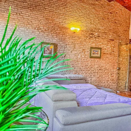 Domus Art Experience Art In The Center Of Ferrara