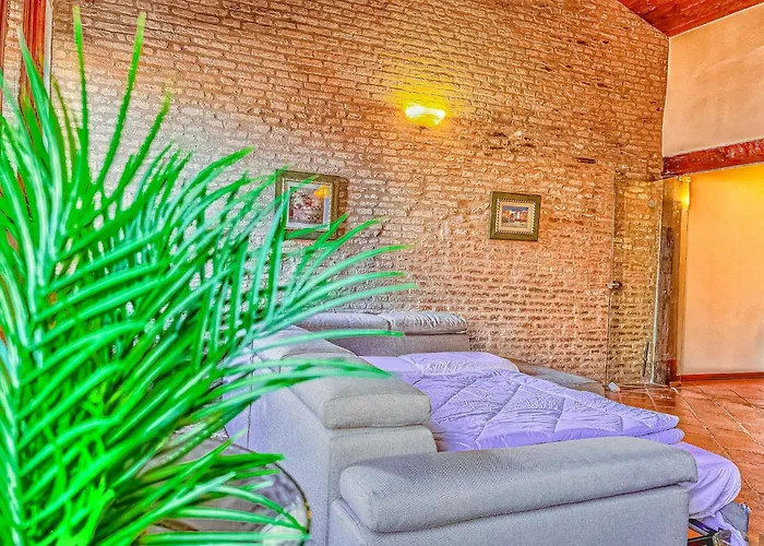 Domus Art Experience Art In The Center Of Ferrara